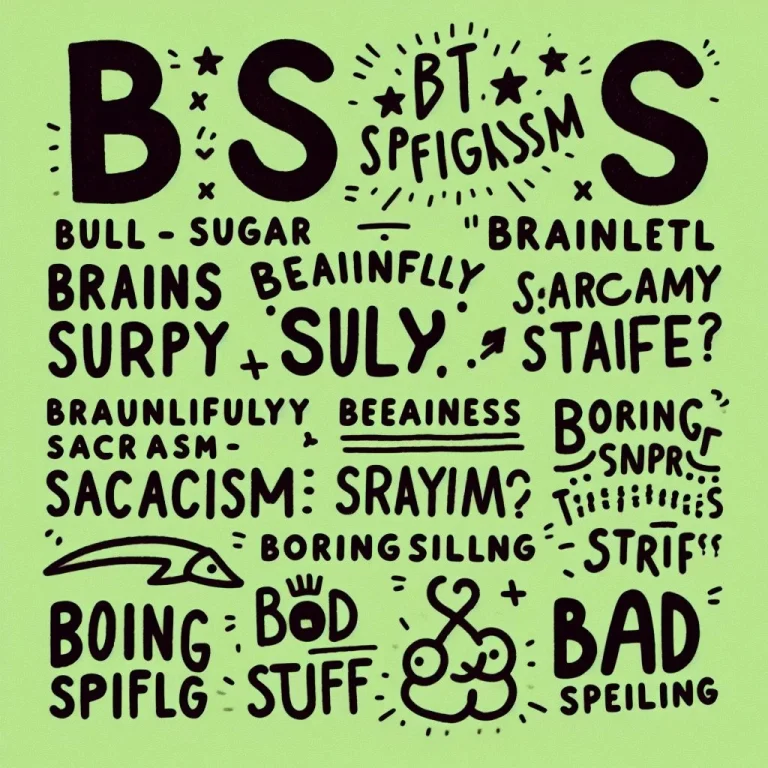 BS Meaning